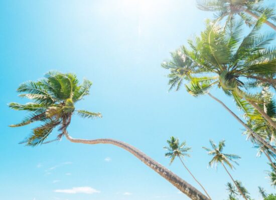 Sri Lanka's Pristine Beaches